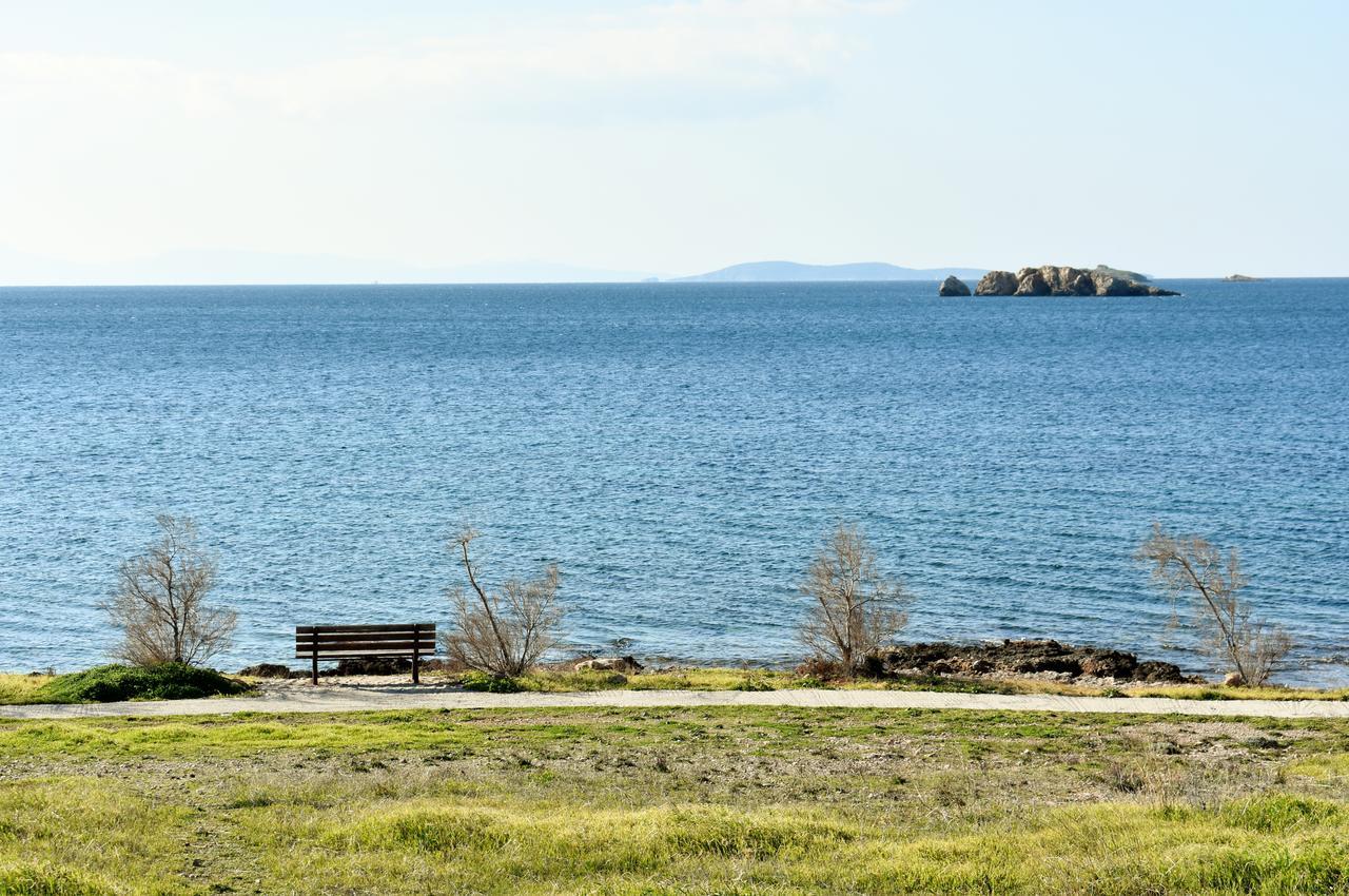 El Mar, 2 Bdr Seaview Apartment, 7 Min From Beach Lagonisi Exteriör bild